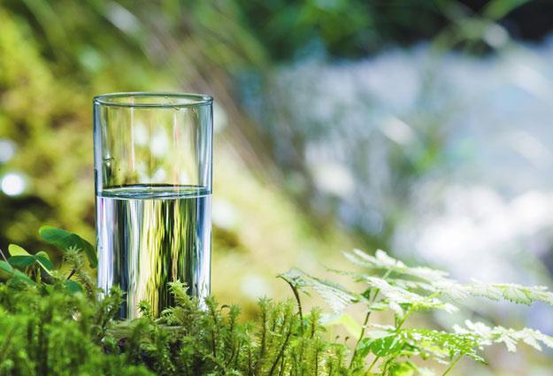 Premium Natürliches Mineralwasser eden springs
